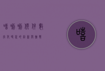 嘻唰唰软件，数字化时代的创新与挑战
