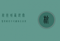 杭州城西银泰，繁华都市中的购物天堂与文化地标