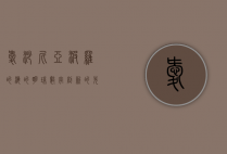 爱沙尼亚，波罗的海的明珠，数字创新的先锋