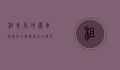 租车异地还车哪家好？全面解析各大租车平台服务与优势