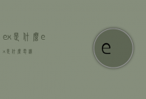 ex是什么（ex是什么电机）