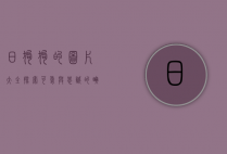日狗狗的图片大全，探索可爱与忠诚的瞬间