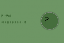 Pit Bull，误解与真相，探索这一独特犬种的魅力与挑战