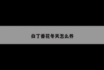 白丁香花冬天怎么养
