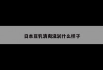 日本豆乳清爽滋润什么样子