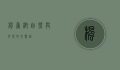 枫香树，自然与文化的交响曲