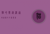 猫叫声，从沟通到治愈的多重意义