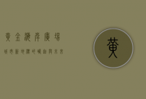 黄金海岸广场，城市新地标的崛起与未来展望