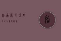 指南者，引领方向的力量与智慧