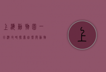 上海动物园一日游攻略，探索自然与动物的奇妙世界