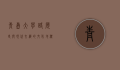 青岛大学路，历史与现代交织的文化地标