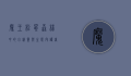 魔王松鼠,森林中的小精灵与生态守护者