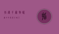 指导手,宠物训练中的专业引路人