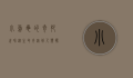 小乌龟的奇妙世界，从生命奇迹到人类伙伴