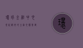 环球金融中心，现代都市的金融心脏与建筑奇迹