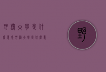 野鸡大学是什么意思（野鸡大学是什么意思思）