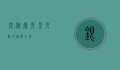 银渐层,光影交织的艺术之美