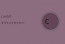 castel葡萄酒怎么样（法国castel葡萄酒）