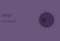 votogt6多少钱（vgt6 vet6）