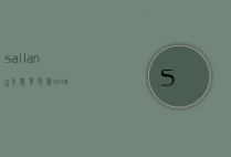 sailang手表多少钱（slilang手表）