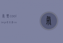 气垫coolbeige是什么（cool气垫是什么牌子）