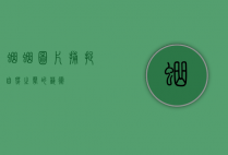 蛐蛐图片,捕捉自然之声的艺术