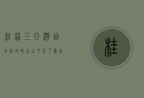 桂林三日游自由行攻略，山水甲天下，尽享诗意之旅