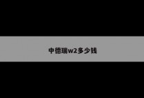 中德瑞w2多少钱