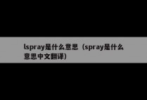 lspray是什么意思（spray是什么意思中文翻译）