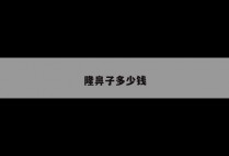 隆鼻子多少钱