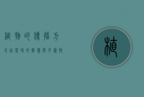 植物的传播方式，自然界的智慧与多样性