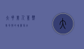大花美人蕉，热带风情的瑰丽象征