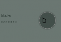 blackopium什么价位（black多少钱）
