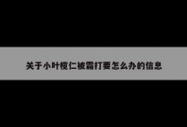 关于小叶榄仁被霜打要怎么办的信息