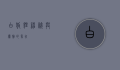 白狐狸，神秘与优雅的象征