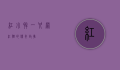 红小胖，一只网红猫的传奇故事