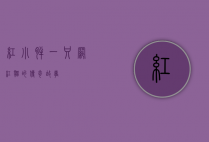 红小胖，一只网红猫的传奇故事