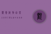 观赏植物，自然之美与人类生活的完美融合