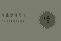 哈尔滨特色小吃，冰雪之都的美食探秘