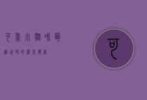 可爱小猫咪，萌宠世界的温柔使者