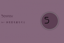 Sosnovka，一个被历史遗忘的小镇，背后的故事与启示