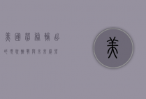 美国劳务输出的现状、挑战与未来展望