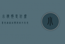 小狼狗是什么意思？从网络热词到文化现象的深度解析
