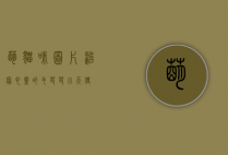 萌猫咪图片，治愈心灵的毛茸茸小天使