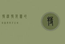 特温特，荷兰的创新与教育之城