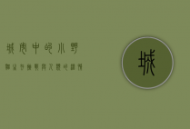 城市中的小野猫，生存、挑战与人类的温情