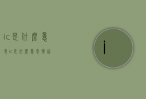 ic是什么意思（ic是什么意思韩语）