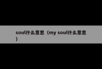 soul什么意思（my soul什么意思）