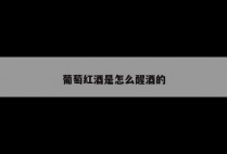 葡萄红酒是怎么醒酒的