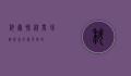 科尔鸭，从农场到餐桌的绿色革命